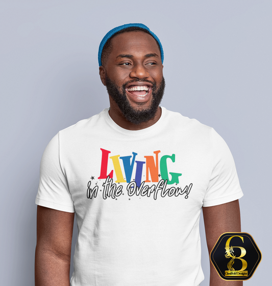 Living In The Overflow